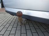 Škoda Superb (2016) 2,0 TDi/ 110kW  DSG  L&K - náhled 17