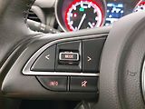 Suzuki Swift (2020) 1.2 SHVS, 4X4, Serv.kniha - náhled 19