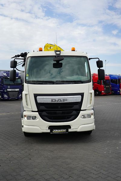 DAF LF (2015) / 250 / SKRZYNIOWY + HDS / HYV - fotka 14 z 52