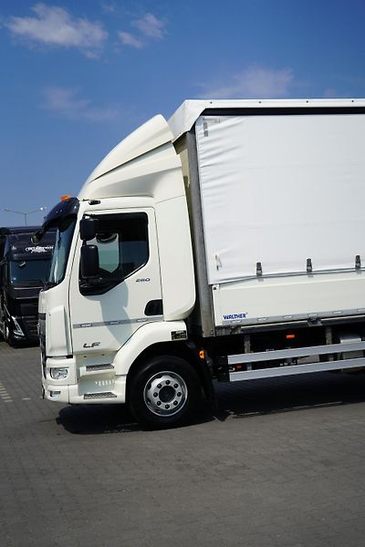 DAF LF (2021) 260 / E 6 / ACC / BURTOFIRANKA - fotka 24 z 44