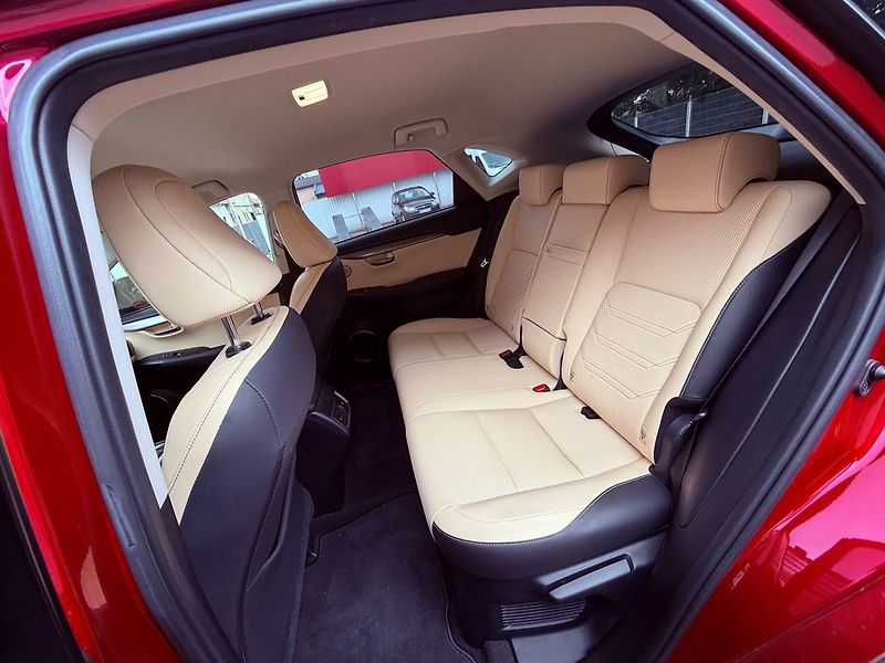 Lexus NX 300 H, ČR - fotka 13 z 25