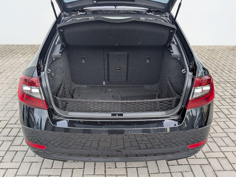 Škoda Octavia (2017) 2.0 TDI / 110 kW 4x4 Style Plu - fotka 13 z 30