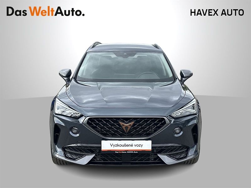 Cupra Formentor (2024) 2.0 TSI 4Drive DSG - fotka 4 z 35
