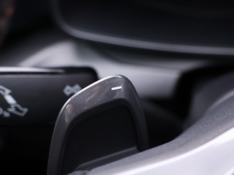 Cupra Formentor 2,0 TSI VZ DSG 4Drive CZ Bremb - fotka 20 z 36