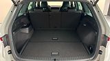 Škoda Kodiaq 2.0 TSI DSG 4x4 RS - náhled 17