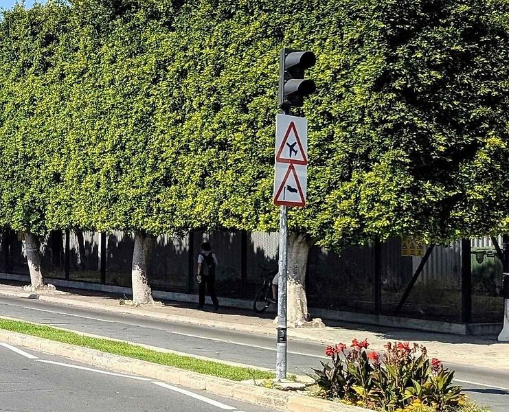 TOP Rock park v Gibraltaru a neobvyklá výstražná značky Hadi s dodatkovou cedulí Slow - zpomal.