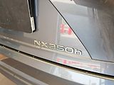 Lexus NX 350h 350h PRESTIGE PLUS TECH - náhled 10