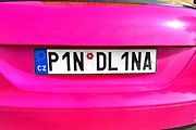 P1N DL1NA