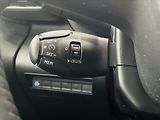 Citroën Berlingo 1,5 HDI 75 kW 1. maj. ČR - náhled 16