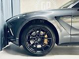 Aston Martin DBX (2021) 550*AIR*XENON.GREY*TOP - náhled 12