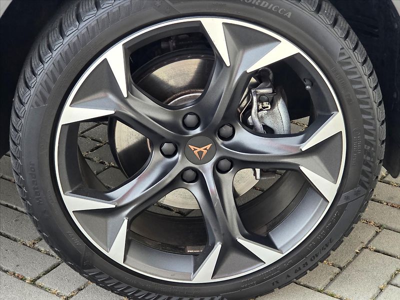 Cupra Formentor 2,0 TSi DSG 4x4 Záruka2029 ČR - fotka 21 z 22