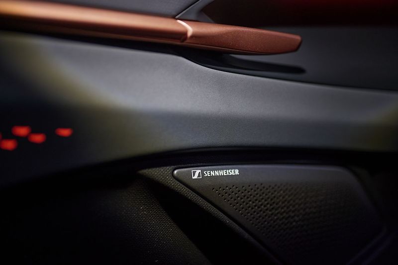 Cupra Terramar VZ 2.0TSI 195kW Web Taž ZÁRUKA - fotka 26 z 34