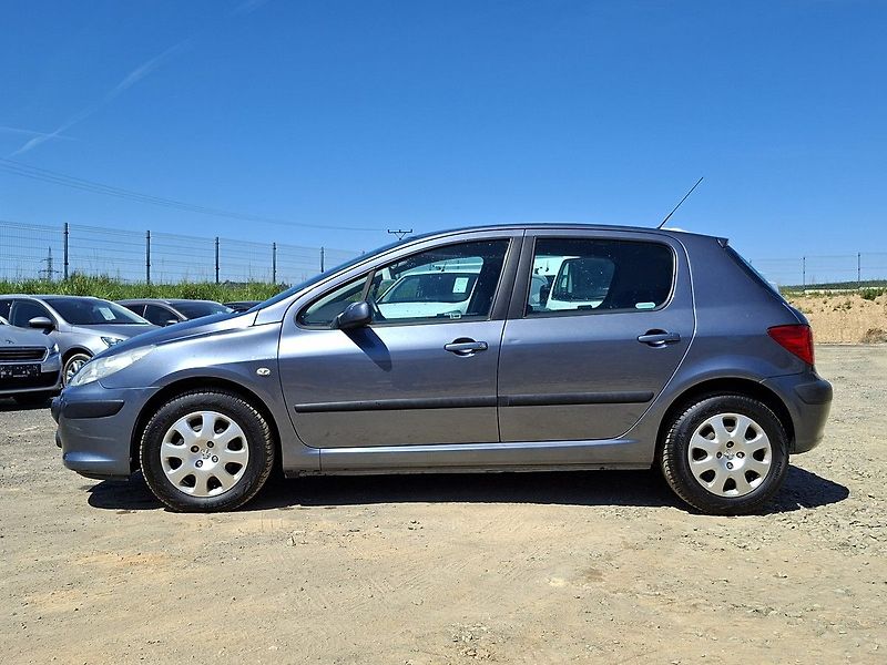 Peugeot 307 1,4i 16V 90k M5 - fotka 4 z 20
