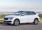 Rodinná SUV: 1. Škoda Kamiq - 10453 kusů