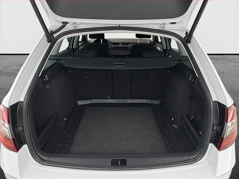 Škoda Octavia (2020) 1.6 TDI, ČR,1.maj, Serv.kniha - fotka 13 z 24