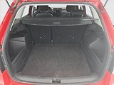 Škoda Fabia (2019) 1.0 TSI, ČR,1.maj, Tempomat - náhled 14