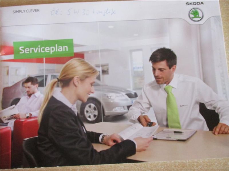 Škoda Fabia 1,2 TSI, digiklima,servis,tažn - fotka 23 z 32