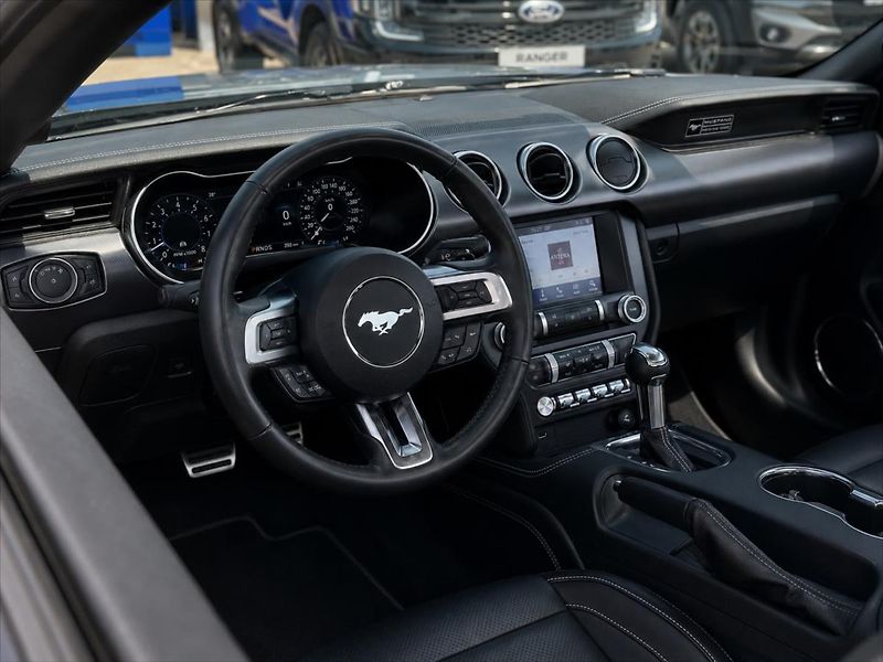 Ford Mustang 5,0 GT V8 330kW 55YearsEdition - fotka 16 z 36
