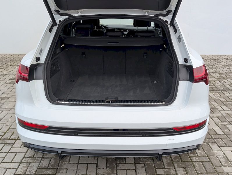 Audi e-tron (2021) S-Line 55 Quattro - fotka 12 z 30