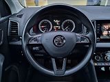 Škoda Karoq 2.0 TDI 110kW Style,ČR,1.Maj. - náhled 21