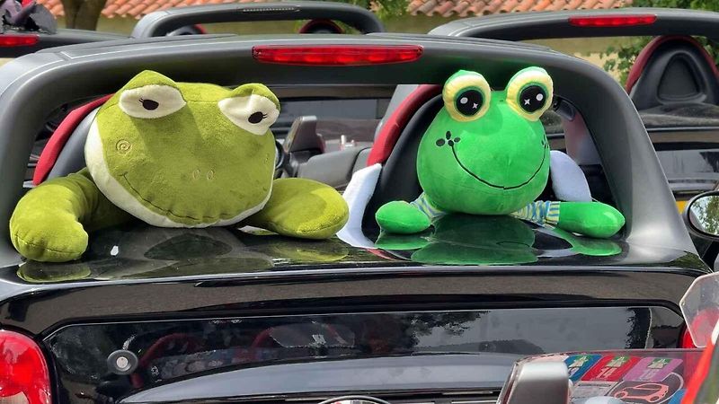 Auta bez střechy i čelního skla a dveří projížděla Krumlov i Šumavu.