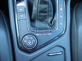 Volkswagen Tiguan 2,0 TDi 4Mot DSG R-Line Tov.Zá - náhled 14