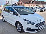 Ford S-MAX (2020) 2.0TDi, 1.maj,ČR, AT, navi - náhled 1