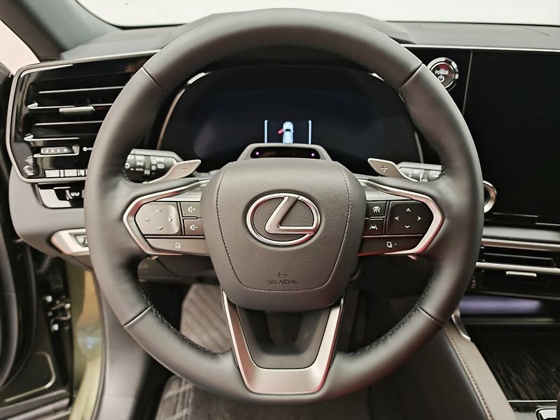 Lexus RX 450h+ Plug-in Hybrid EXECUTIVE - fotka 14 z 17