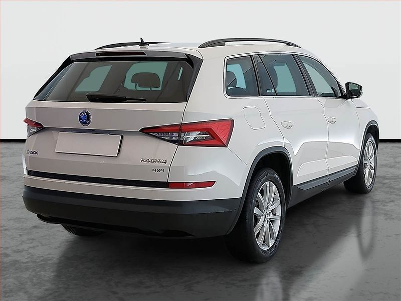 Škoda Kodiaq (2017) 2.0 TDI 4x4, 4X4, Automat - fotka 5 z 21