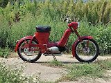 Jawa 50 Pařez