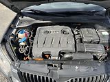 Škoda Yeti (2013) 1,6 TDi 77 Kw BLACK EDITION - náhled 14