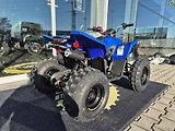 Linhai ATV 100 LH (2026) ATV 110 - náhled 41
