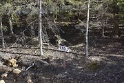 Stavba dálnice D3 nedaleko Nažidel. Úsek Nažidla - Dolní Dvořiště. Lokalita vzdálená jen pár stovek metrů od místa tragické nehody.