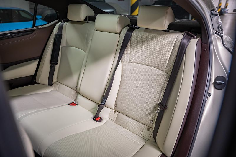 Lexus ES 300h (2020) Luxury, LED, 360, DPH - fotka 20 z 27