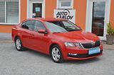 Škoda Octavia (2017) 1.6 TDi 85kW Ambition PLUS /ČR - náhled 1