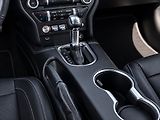 Ford Mustang 5,0 GT V8 330kW 55YearsEdition - náhled 32