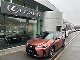 Lexus UX 300h (2025) 2.0   F Sport Design Bi- Tone - náhled 1