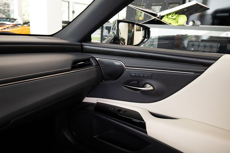 Lexus ES 300 H/MarkLevinson/360/Vyhřívaná/V - fotka 21 z 28