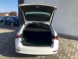 Škoda Octavia (2024) COM M-HEV STY PLUS TS110/1.5A7 - náhled 10