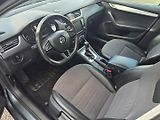 Škoda Octavia (2017) 2.0 TDI DSG, Navi - náhled 8