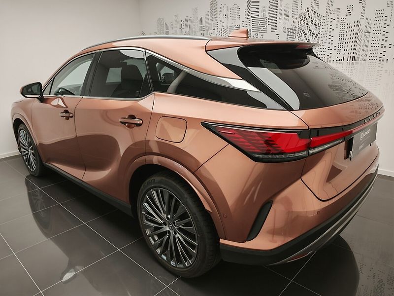 Lexus RX 450h plus RX 450h+ Luxury - fotka 6 z 50