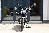 Royal Enfield (2026) Bear 650 WILD HONEY - náhled 7