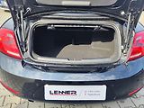 Volkswagen New Beetle 1.6 TDI/77kW Cabrio - náhled 16