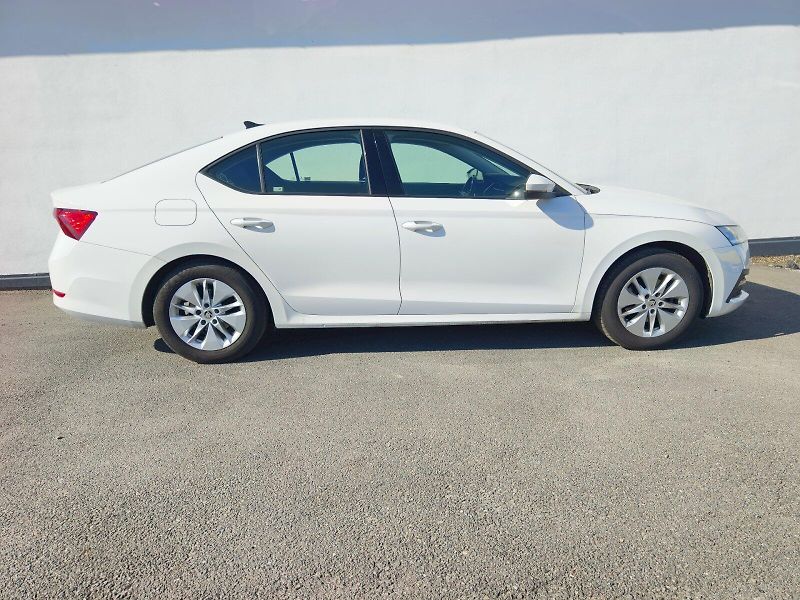 Škoda Octavia (2023) AMB TD 85/2.0 A7F - fotka 9 z 30