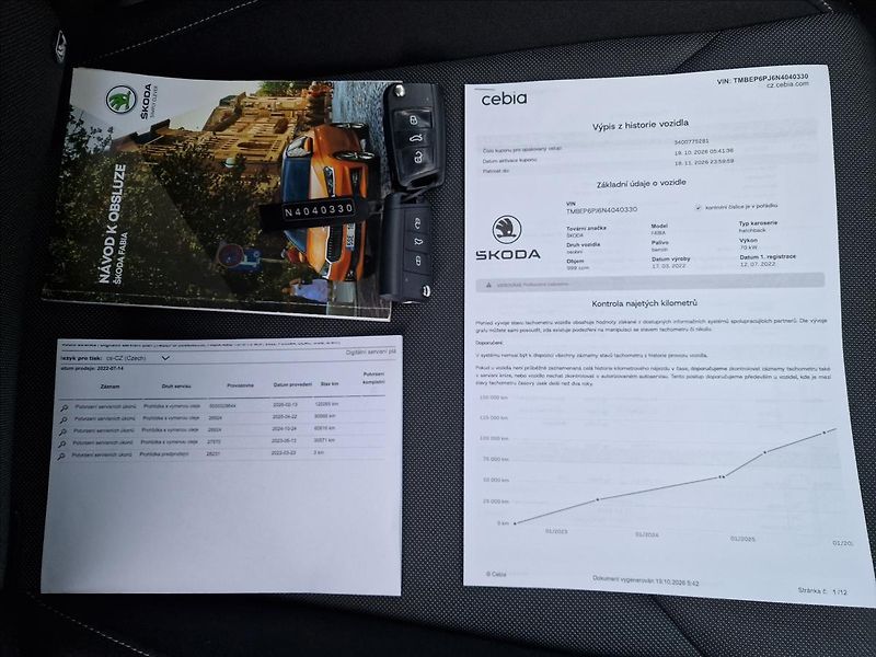 Škoda Fabia 1.0TSI Ambition,ČR,1.Majitel - fotka 41 z 43