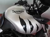 Triumph Tiger 955i (2002) - náhled 17