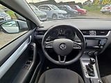 Škoda Octavia (2014) 1.6 TDi 77KW DSG Ambition - náhled 14