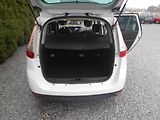 Renault Grand Scénic 2.0DCi, KAMERA,BOSSE - náhled 24