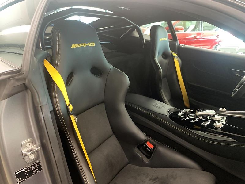 Mercedes-Benz AMG GT R-430kW-CARBON-KERAMIC-CZ - fotka 12 z 31