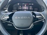 Škoda Kamiq (2025) Top Selection 1.0TSi 85kW 6°ma - náhled 22